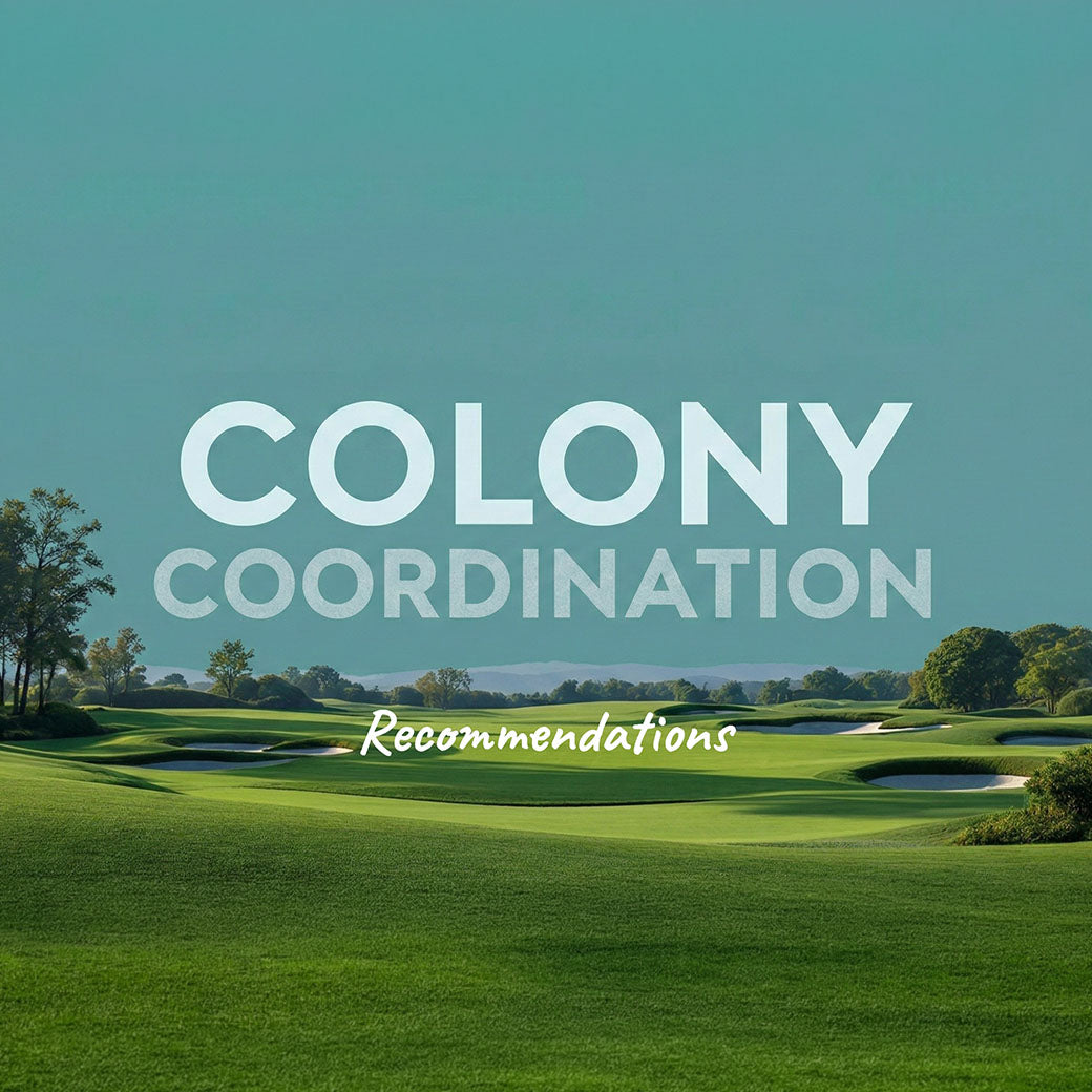 【新機能】もう迷わない!「Colony Coordination」が登場
