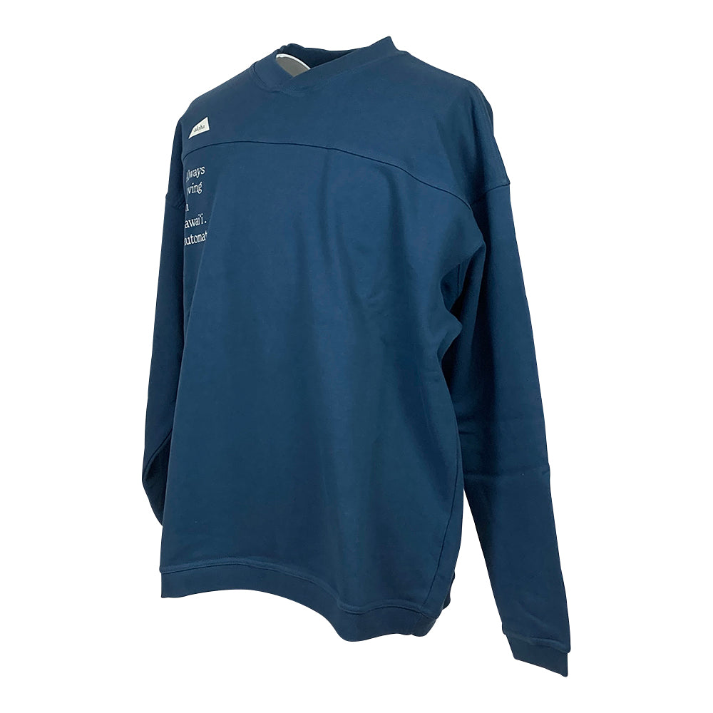 【SALVAGE PUBLIC】サルベージパブリック パブリック パーカー SALVAGE PUBLIC VARSITY Crew neck (a.l.o.h.a) ブルー Mサイズ(SV3AW007)