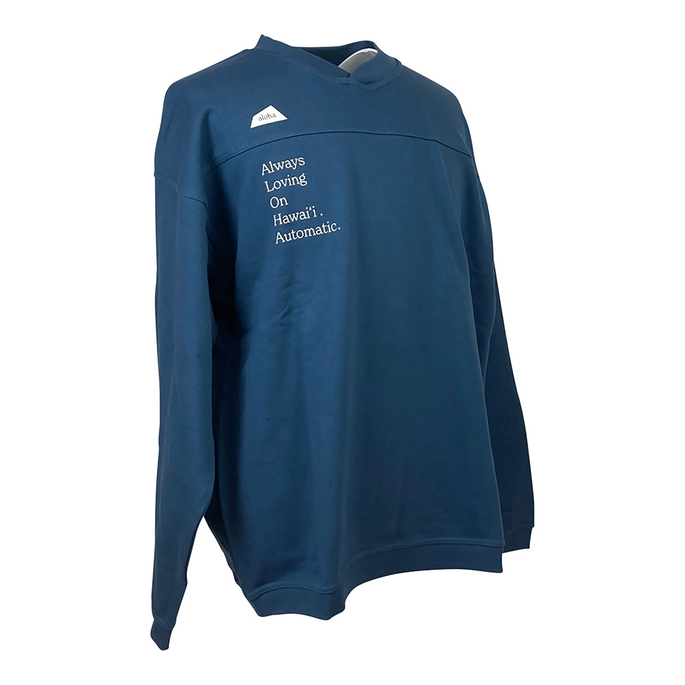 【SALVAGE PUBLIC】サルベージパブリック パブリック パーカー SALVAGE PUBLIC VARSITY Crew neck (a.l.o.h.a) ブルー Mサイズ(SV3AW007)
